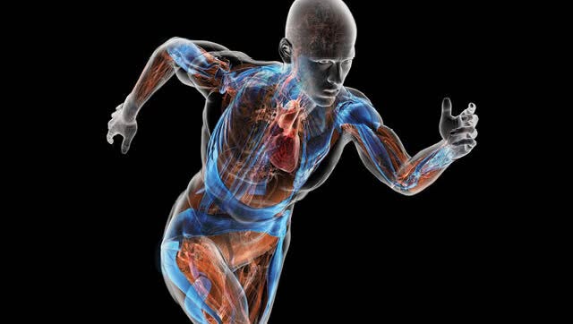 Fascia